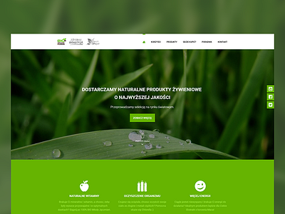 BioOrganicFoods design ui ui design ux ux design web web design website