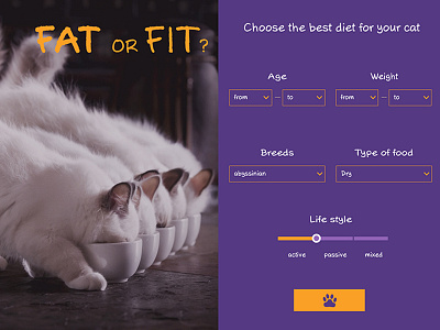 Fit Cat App animal app cat dailyui diet lviv ui ukraine ux webdesign website