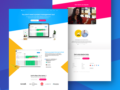 Homepage design colors dapulse design product project management ui ux website