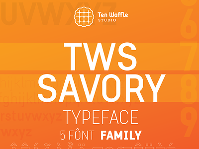 "TWS Savory" typeface aleksand sukiasov font khachaturyan leon loneleon savory savorytypeface tenwafflestudio tws twssavory typeface