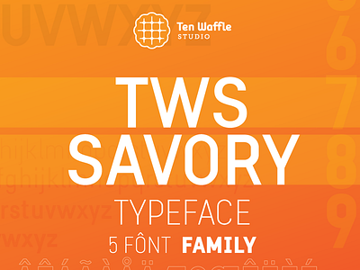 "TWS Savory" typeface
