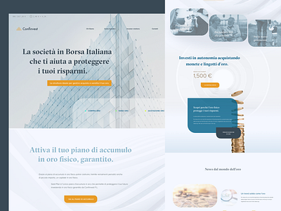 Website Design for Financial Services Company