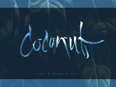 Coconut lettering beverage calligraphy calligraphy and lettering artist coconut coconuts customlettering drink food fresh fruit lettering logo logodesign nuts palm palmtree typography vegan