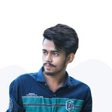 Raisul Islam Robin