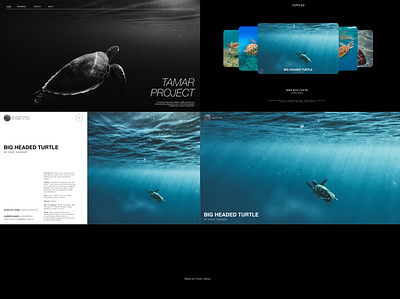 Website Redesign Tamar Project environmental project redesign ui design website website redesign