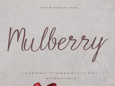 mulberry branding calligraphy cursive font design elegant font font fonts graphic design handwritten illustration lettering font logo modern font signature font sweet font
