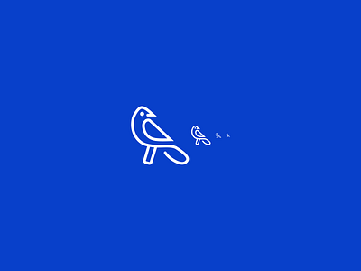 birdy logotype