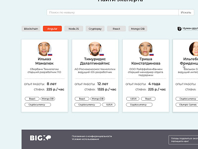 Bigxp cards experts tags ui