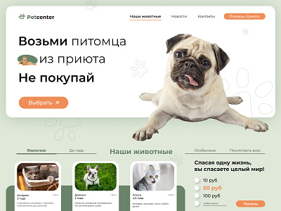 Pet center designer landing page minimal pet care pet centre ui ui design web-design