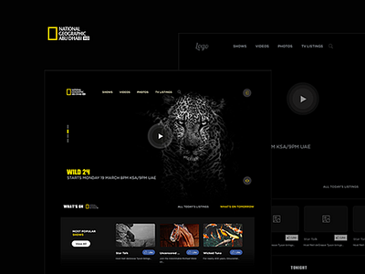 Re design the web site National geographic abu dhabi