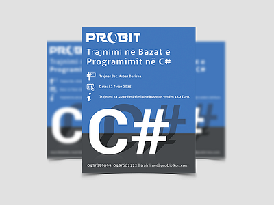 Flyer for PROBIT