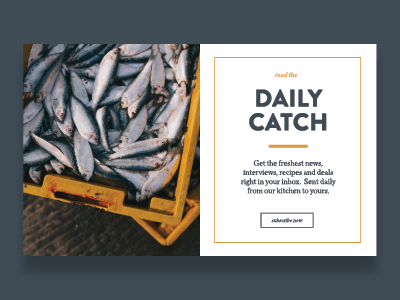The Daily Catch dailyui day26 design food lifestyle minimal type typography ui web