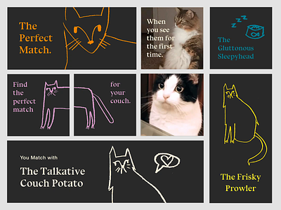 Cat Finder App - Branding Exploration branding color guide design illustration typography