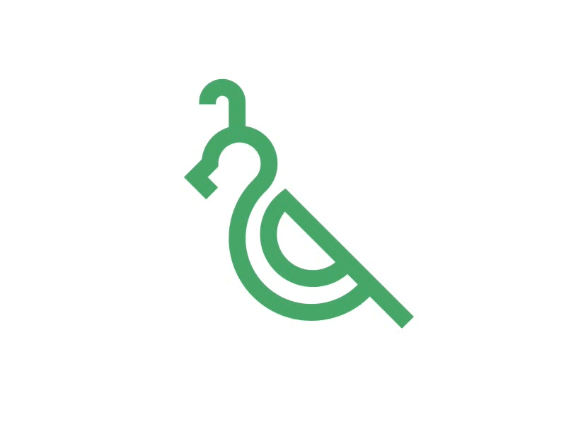 Quello android animation app bird green icon ios logo motion quail quello