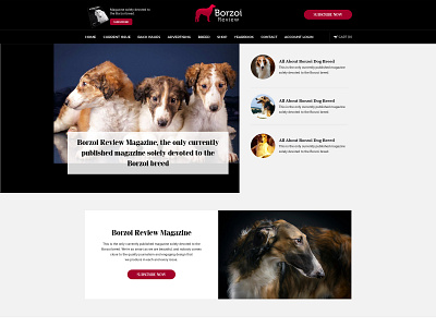 Borzoi - E Commerce Design & Development adobe photoshop branding e commerce figma responsive ui ux web design wordpress