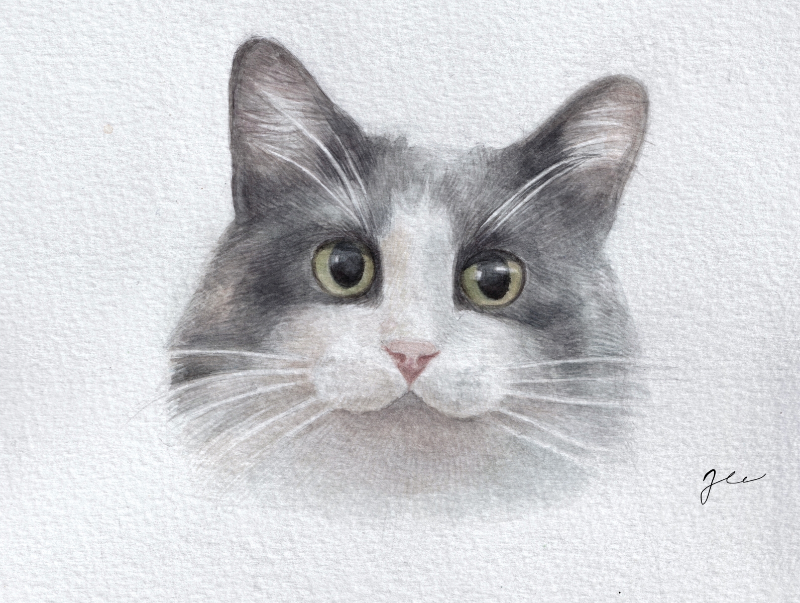 Watercolor cat portrait by Karina on Dribbble