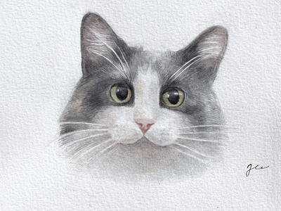 Watercolor cat portrait