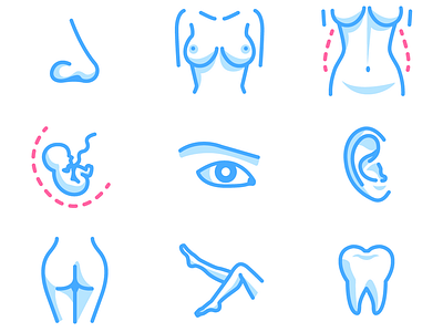 Body parts -- icons for medical clinic belly body breasts eye fetus legs nose pregnancy tooth