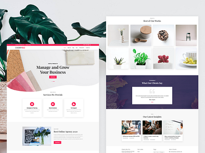 Cherry Biz - Free WordPress Theme