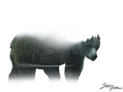 Bear Double Exposure bear color double exposure forest nature