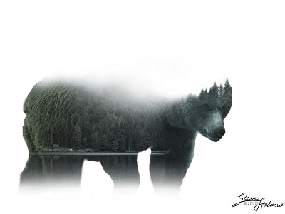 Bear Double Exposure