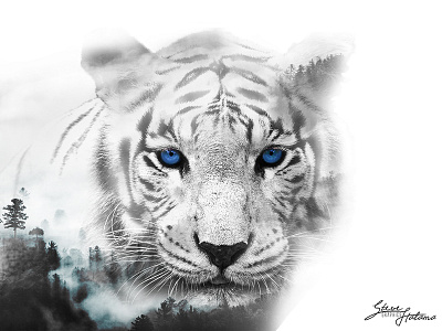 White Tiger Double Exposure ble double doubleexposure exposure eyes fog tiger