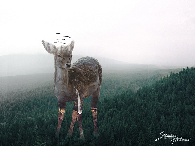 Deer Double Exposure art deer design doubleexposure graphicdesign photoshop