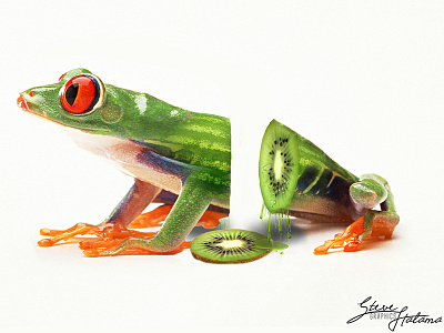 Ever Wonder Where Kiwi Comes From? art frog graphic graphicdesign kiwi photominipulation photoshop treefrog