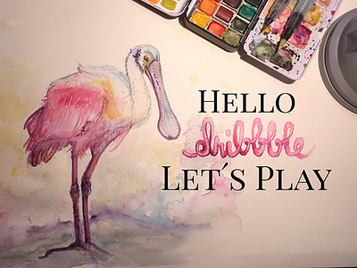 Hello Dribbble colorful hello dribbble illustration platalea leucorodia play watercolor