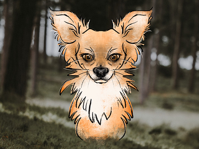 Deli, little fox chihuahua digitalart fox illustration procreateapp