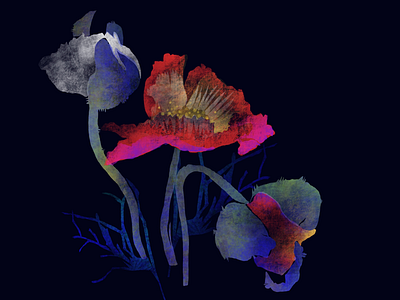wild island poppys create stuff discover experiment flowers illustration inspiration neon poppys