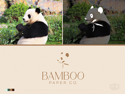 Bamboo Paper Co. branding dailylogochallenge design graphic design illustration logo typography vector