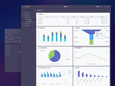 Data Analysis Project design ui web