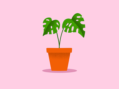 House Jungle green ipad nature palm pink plant procreate