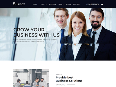 Businex   Corporate Business HTML Template