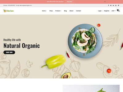 Obrien   Organic Food Shopify Theme