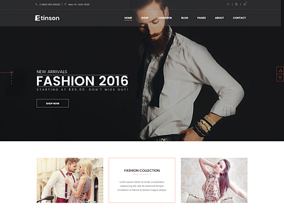 Stinson   Fashion Store HTML Template
