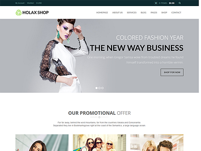 Holax – Multipurpose eCommerce WordPress Theme