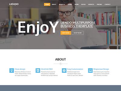 Liendo – Multipurpose Landing Page Template designer developer freelancer individual portfolio landing marketing