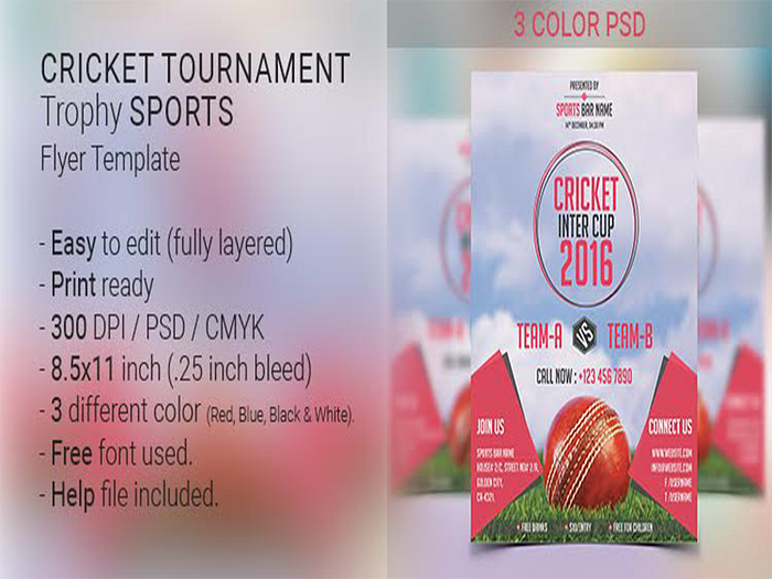 Cricket Flyer Designs, Themes, Templates And Downloadable Graphic 