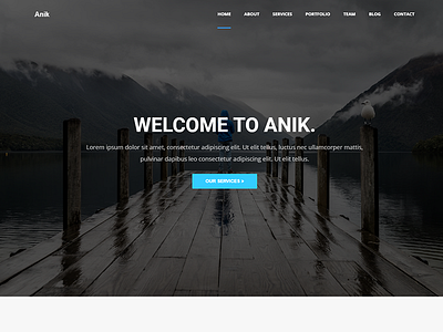 Anik - Personal Portfolio WordPress Theme agency bootstrap creative freelancer html minimal minimalist modern multipurpose personal photography portfolio