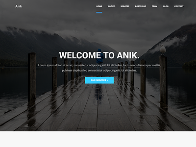 Anik - Personal Portfolio WordPress Theme