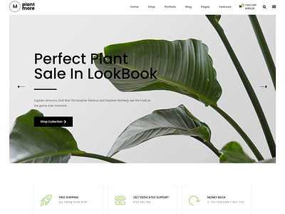 Plant and Flower Shop eCommerce HTML Template   Plantmore