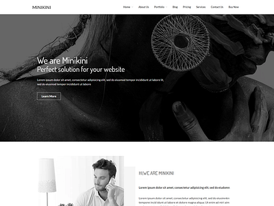 Minikini - Minimal Portfolio WordPress Theme architecture bootstrap business ecommerce modern wordpress theme parallax wordpress