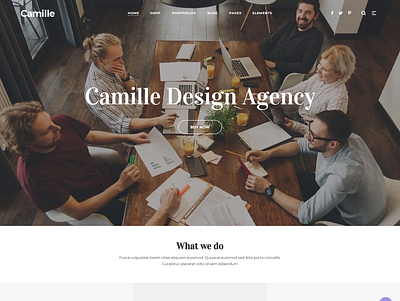 Camille - Multi-Concept HTML Template for Start-ups and Agency bootstrap html web template bootstrap portfolio web template construction html template creative agency web temolate minimal responsive web template multi concept html template multi concept web template startup agency web template