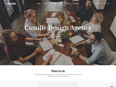 Camille - Multi-Concept HTML Template for Start-ups and Agency