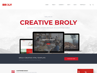 Broly - Creative Multi-Concept HTML Template creative design html template interior design html template minimal portfolio html template one page html web template startup agency html template