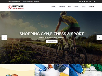 Fitzoon - Sports Store WooCommerce WordPress Theme 