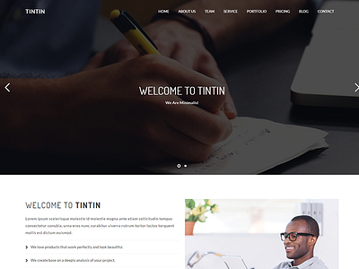 Tintin - Personal Portfolio WordPress Theme advertising agency business freelancer gallery interior minimal photography portfolio showcase studio