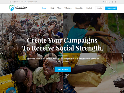 Chalilac - WordPress Charity Theme charity donation environmental foocauses fundraising ngo nonprofit organization paypal publications undation visa card